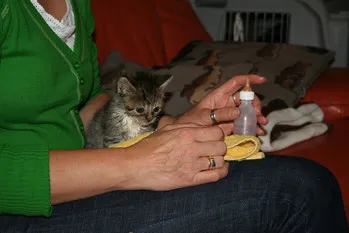 Kinder und Tiere