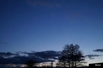 Himmel Wir – Kind und Tier e.V