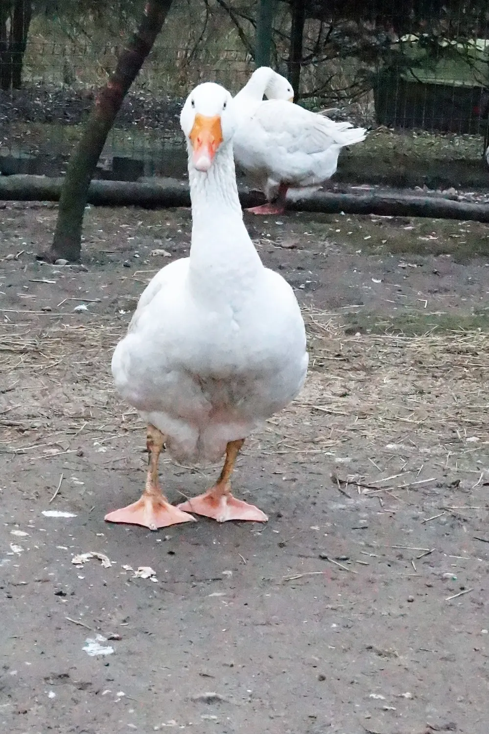 Naturschutz