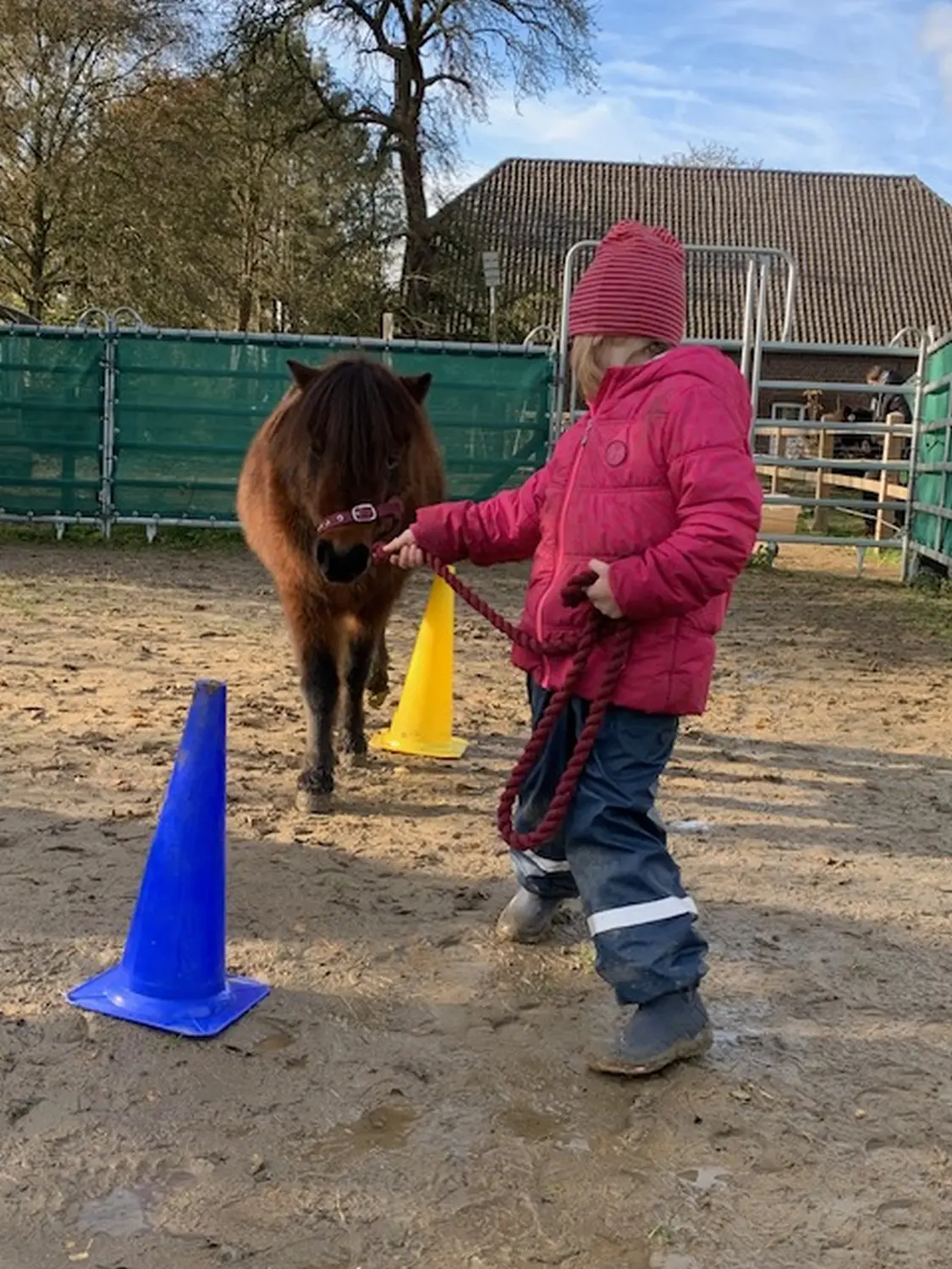 Isselburg , Mone Dopp , Wir Kind und Tier eV , Institut für kinder jugend, Kinder jugend und familiencoaching